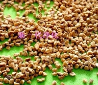 優質核桃殼,核桃殼(除油),核桃殼顆粒